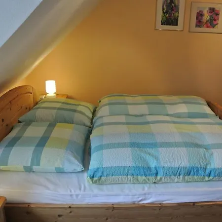 Nordlys Dg -